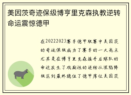 美因茨奇迹保级博亨里克森执教逆转命运震惊德甲